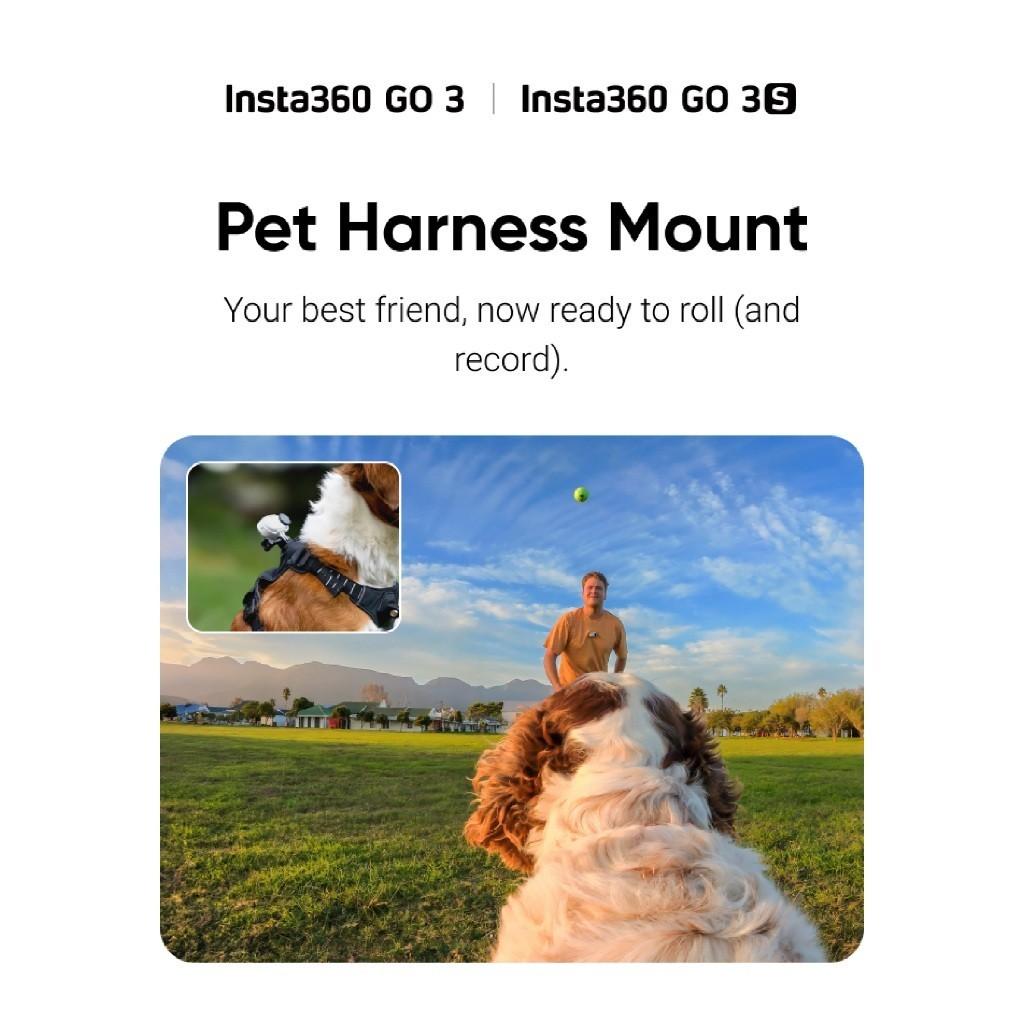 POV of pet while using the Insta360 Go 3 with Pet Harness Mount