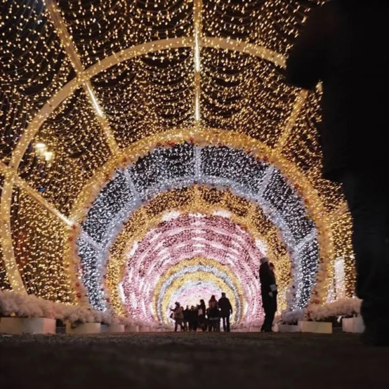 Sample image of lights taken by the Kodak Portra 800 Film