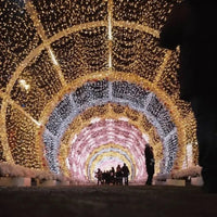 Sample image of lights taken by the Kodak Portra 800 Film