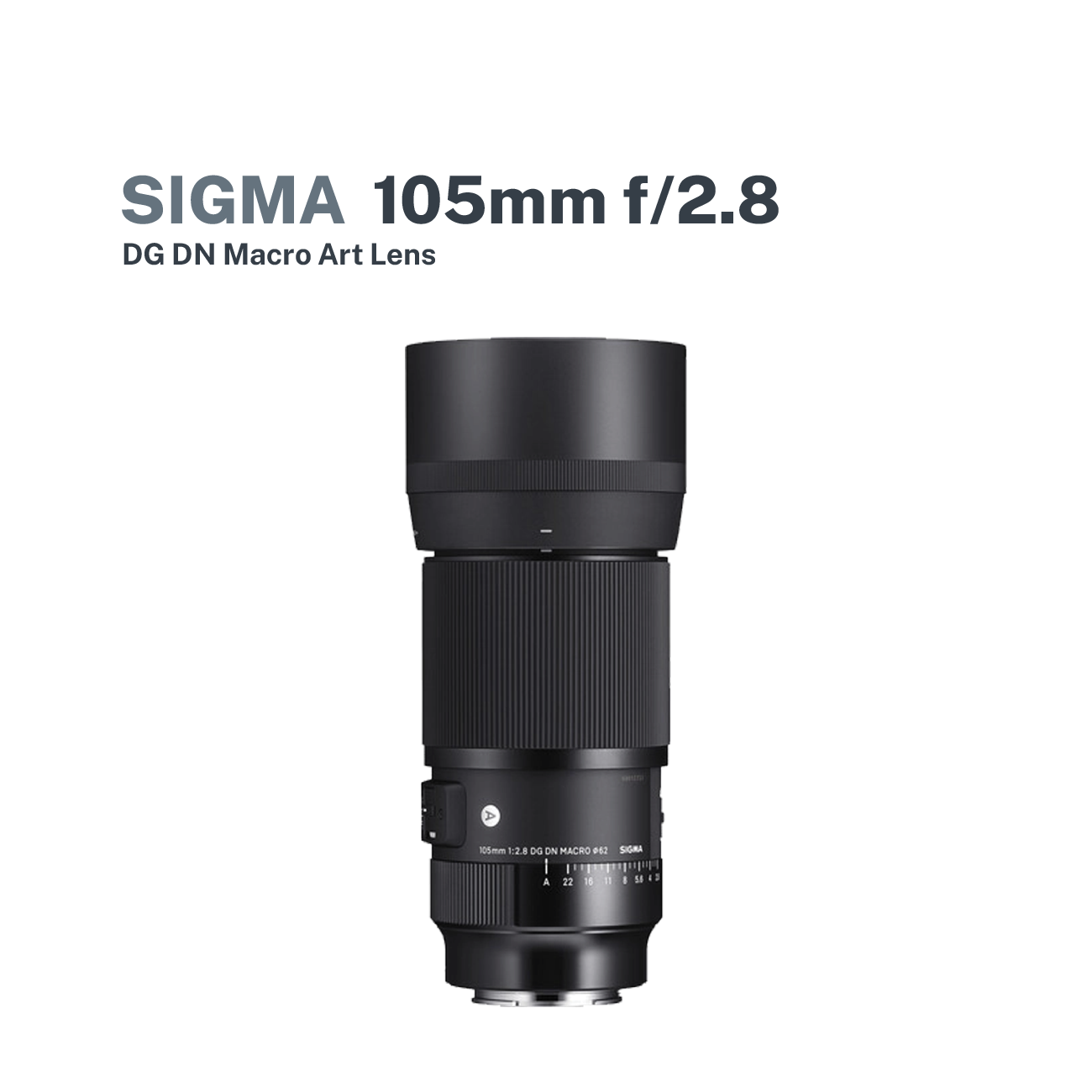 sigma 105mm sony e