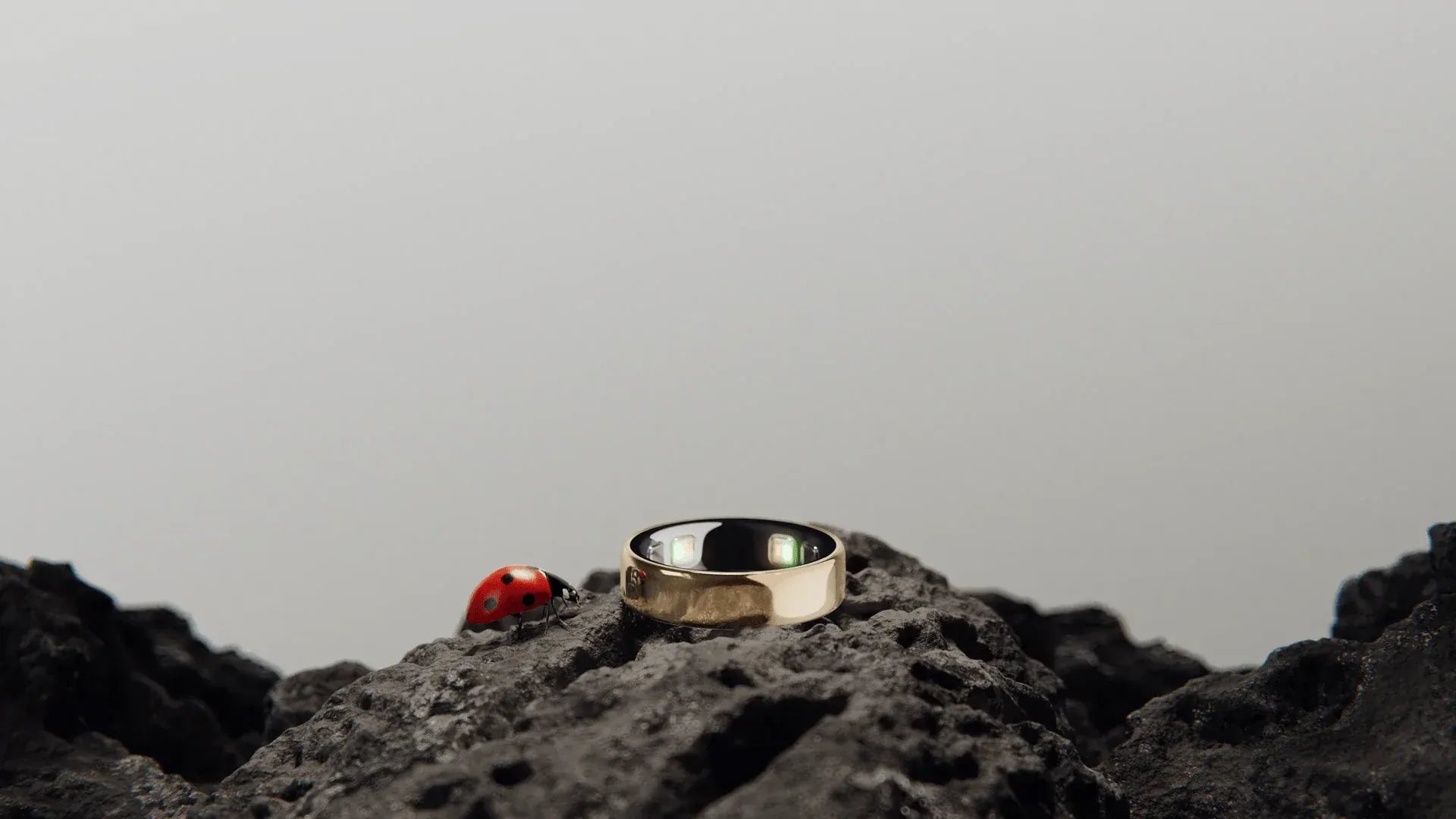 Altitude Philippines | Gold Smart Ring Displayed on a Rough Dark Rock Surface