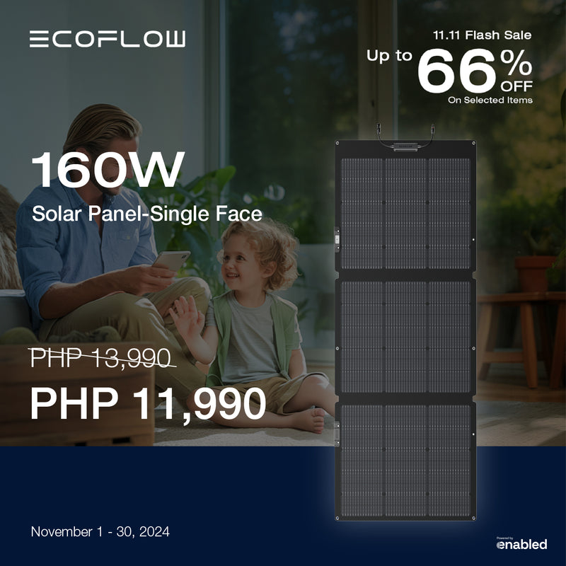 EcoFlow 160W Portable Solar Panel (Single-Face)