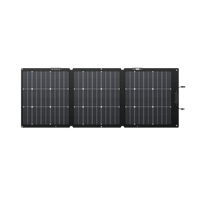 Ecoflow 160W Portable Solar Panel (Bi-Facial)