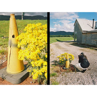 Sample shots from the Kodak Ektar H35N Film Camera