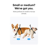 Different sizes of the Insta360 Go 3S Pet Harness Mount