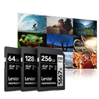 Lexar Professional 1667x SD Card 64GB, 128GB, and 256GB