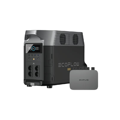 EcoFlow Delta Pro Portable Power Station