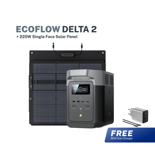 EcoFlow DELTA 2 + 220W Portable Solar Panel (Single Face)