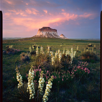 Sample image taken by the Kodak Ektar 100 Color Negative Film