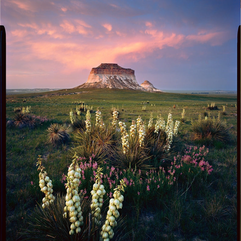 Kodak Ektar 100 (1 Roll) Altitude