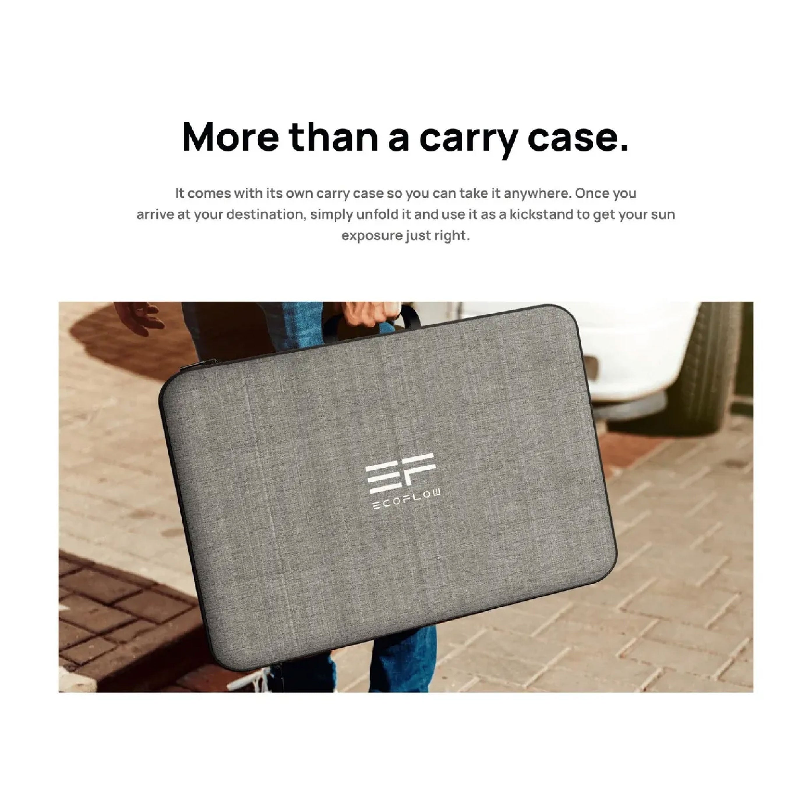 Ecoflow 220W Portable Solar Panel (Bifacial)