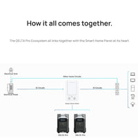 Ecoflow Smart Home Panel w/ Free Infinity Cable