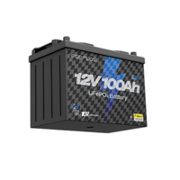 EcoFlow 12V 100Ah Lithium Battery