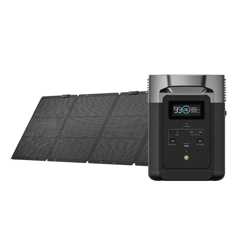 EcoFlow DELTA 2 + 220W Portable Solar Panel (Single Face)