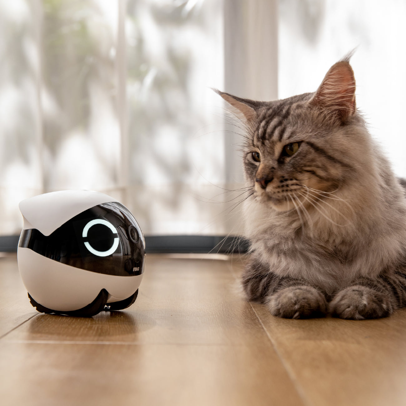Enabot ROLA Mini Pet Monitor