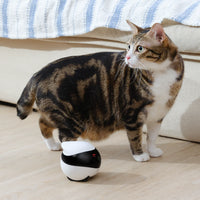 Enabot EBO SE FamilyBot