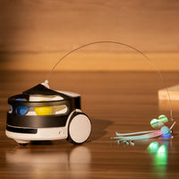 ENABOT ROLA PetPal Interactive Toys Module