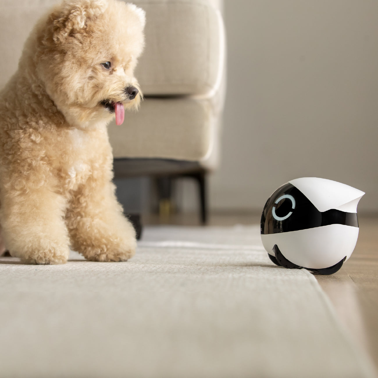 Enabot ROLA Mini Pet Monitor