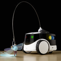 ENABOT ROLA PetPal Interactive Toys Module