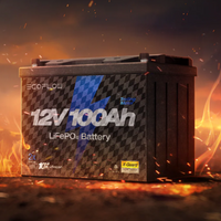 EcoFlow 12V 100Ah Lithium Battery