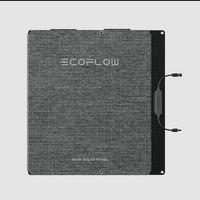 EcoFlow Portable Solar Panel (Single-Face)