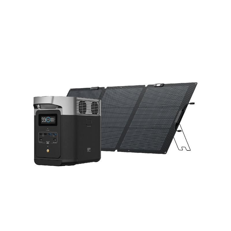 EcoFlow DELTA 2 + 160W Portable Solar Panel (Single-Face)