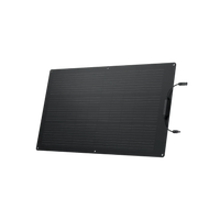 EcoFlow 100W Flexible Solar Panel