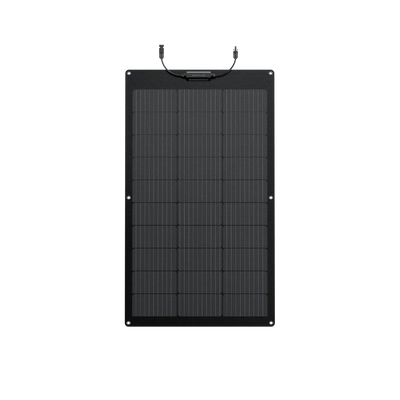 EcoFlow 100W Flexible Solar Panel