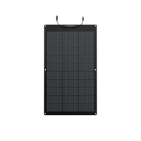 EcoFlow 100W Flexible Solar Panel