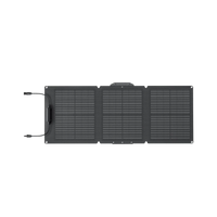EcoFlow 60W Portable Solar Panel