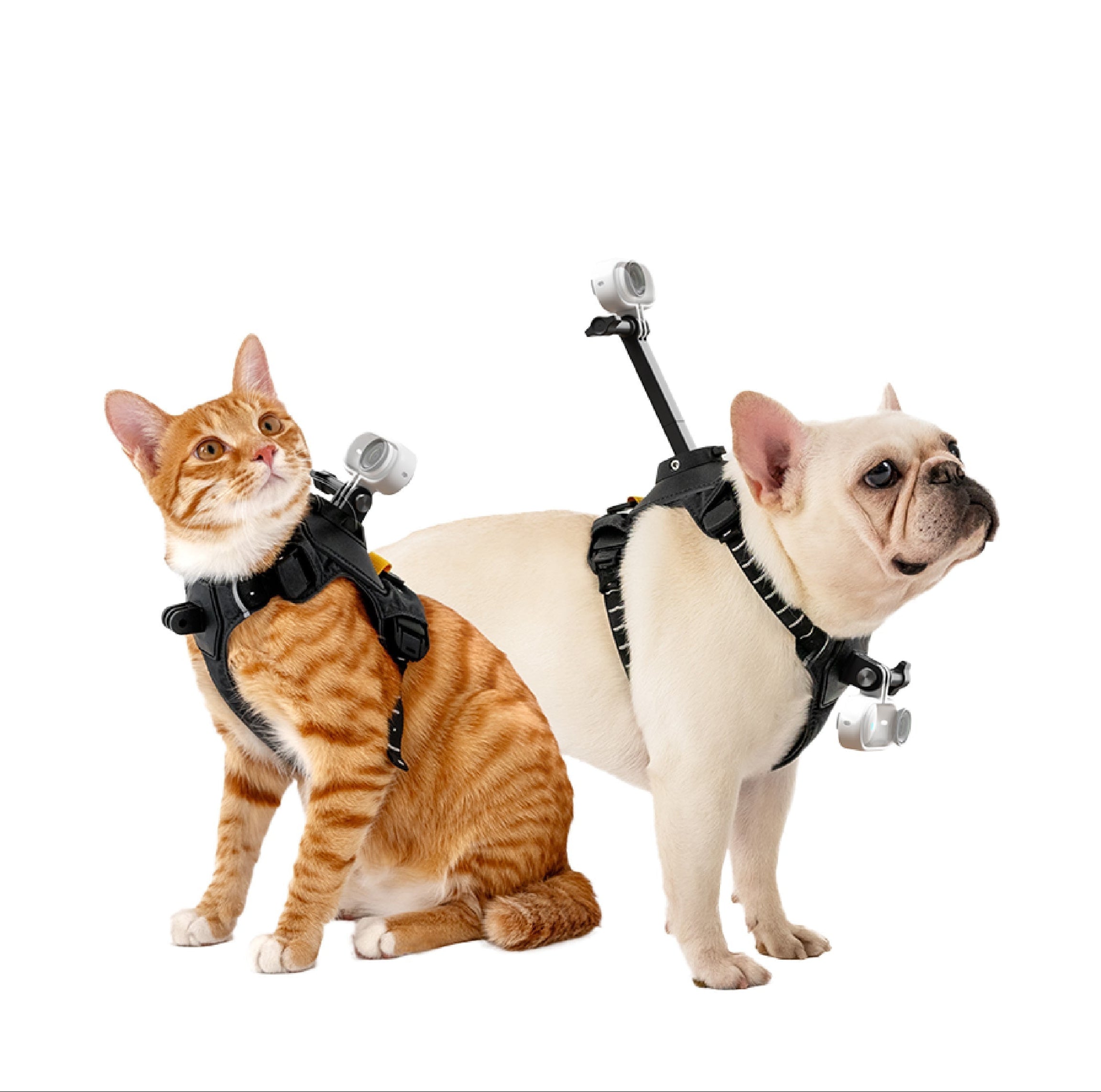 Insta360 Go 3S Pet Harness Mount