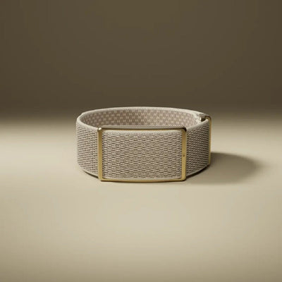 Polar Loop Gen 2 Screen-Free Wearable Health Band & Fitness Tracker