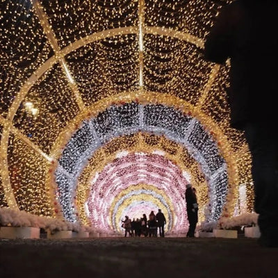 Sample image of lights taken by the Kodak Portra 800 Film
