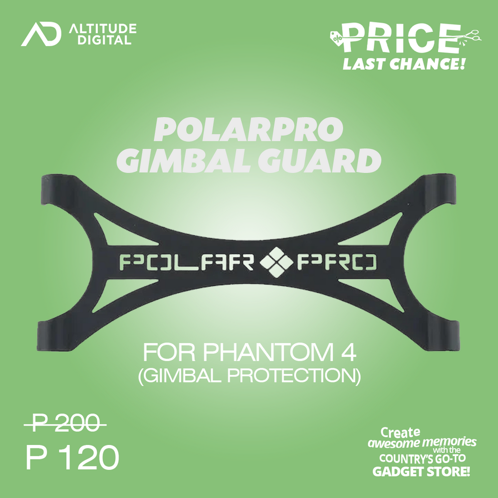 Phantom 4 best sale gimbal guard