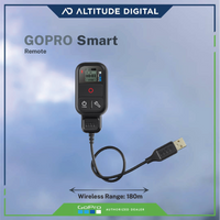 GoPro Smart Remote Accessory