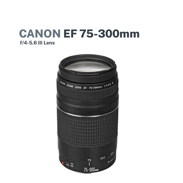 Canon EF75-300mm f/4-5.6 III Lens