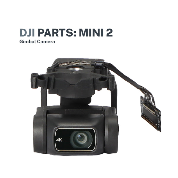 DJI Parts:DJI Mini 2 Gimbal Camera