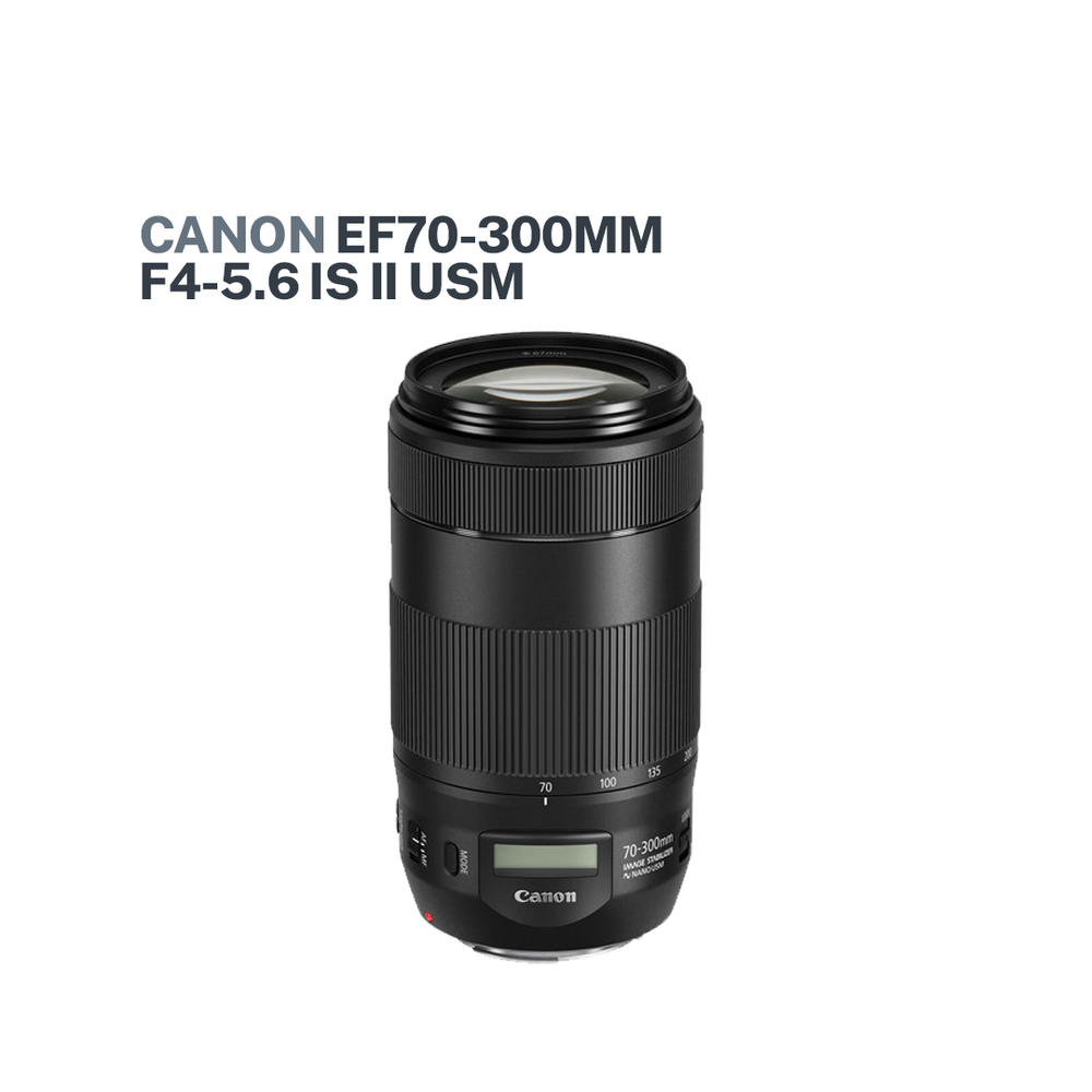 Canon EF70-300mm F4-5.6L IS USM(Canon EF70-300mm f/4-5.6 IS Canon EF70-300mm F4-5.6L IS USM(Canon EF70-300mm f/4-5.6 IS